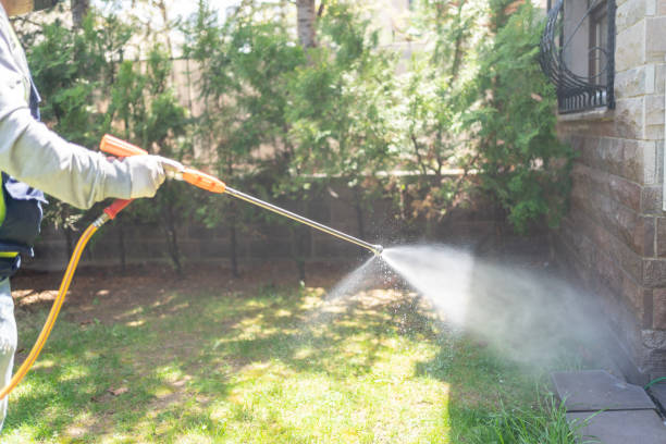 Best Emergency Pest Control  in Drumright, OK