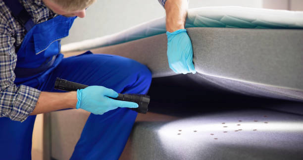 Best Cockroach Control Services  in Drumright, OK